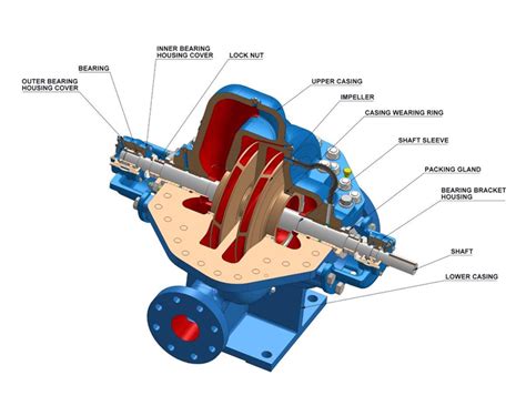 centrifugal pump split casing|horizontal split case pump diagram.